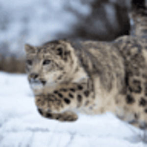 Meet your Posher, Catie